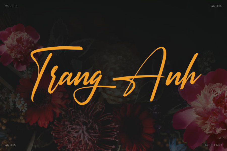 Font Chữ Miễn Phí SVN Rosellinda Alyamore Việt Hóa – Phông Chữ Ký Viết Tay Đẹp, Thanh Lịch